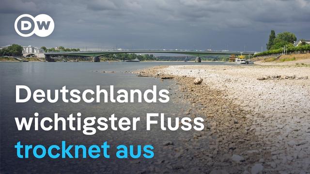 Weniger Wasser, weniger Fracht: Der Rhein wird zum Risiko für Europas Lieferketten