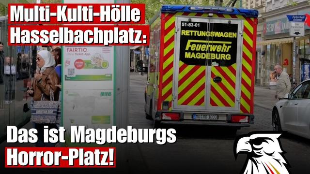Multi-Kulti-Hölle Hasselbachplatz: Das ist Magdeburgs Horror-Platz!