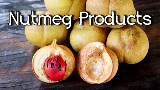 The Many Uses Of Nutmeg FRUIT (Jam, candy, medicine, juice and more!)