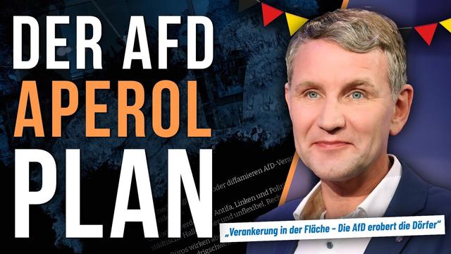 Die AfD plant Machtergreifung 2.0 - nur in dümmer...