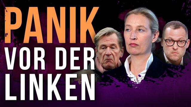 Die AfD zittert wegen Berlin: So kommt jetzt das AfD-VERBOT!