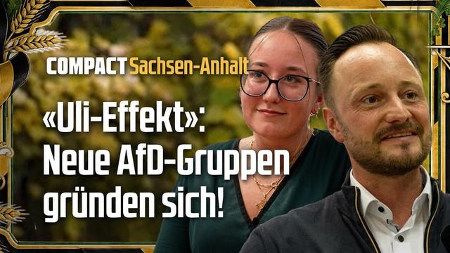 Neue AfD-Gruppen: Das ist der «Uli-Effekt»!