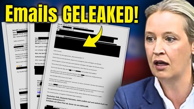 KRASS! Hackergruppe VERNICHTET AfD Und Leaked Über 400TAUSEND Dateien! Das Steht Drin!