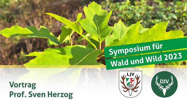 Symposium Wald und Wild | Vortrag Prof. Sven Herzog