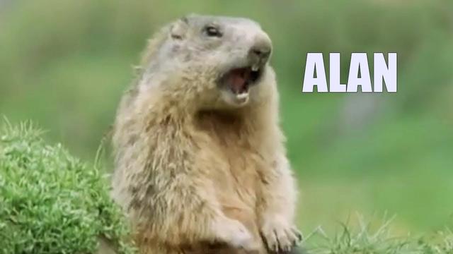 SPRECHENDE TIERE - Alan, Alan, Steve - Das Original (Davis Schulz)