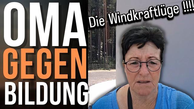 Peinlich! AfD-Oma erfindet Zahlen über Windräder