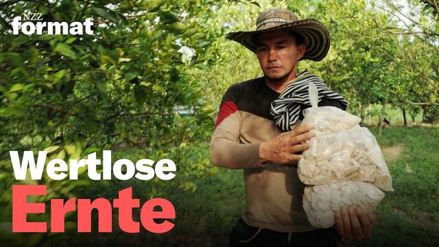 Kokain-Krise in Kolumbien – Wenn Kartelle kein Kokain mehr kaufen | Doku NZZ Format | Reupload