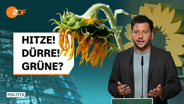 Extremsommer ohne Grünen-Hoch: Was ist diesmal anders? | PolitiX