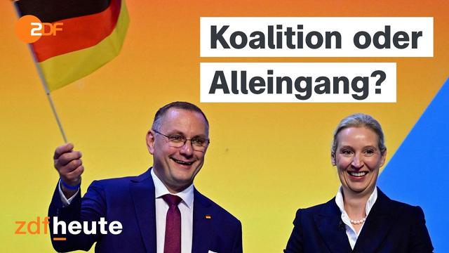 Wie koalitionsbereit ist die AfD wirklich? | berlin direkt