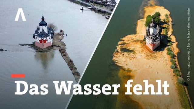 Pegelstand extrem: So heftig ist es am Rhein