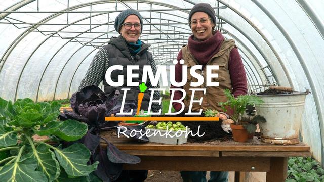 Rosenkohl - Einfach erklärt vom Anbau bis zur Lagerung | Gemüseliebe