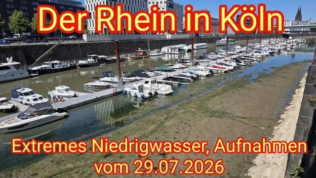 Extremes Niedrigwasser & Trockenheit: der Rhein in Köln  am 29.07.2026