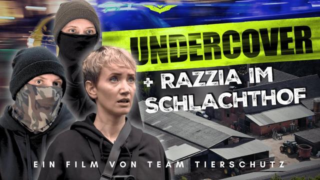 INSIDE SCHLACHTHOF - Wir retten 2 Tiere!