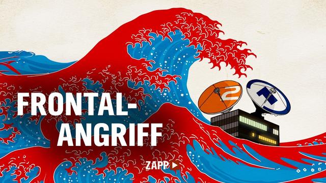 Die AfD nennt es Reform. Der NDR sieht das ganz anders. | ZAPP | NDR