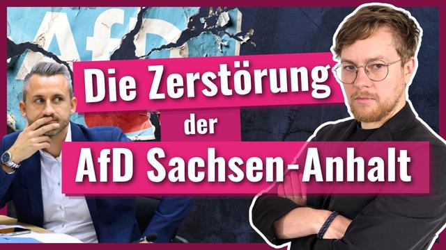 Die Zerstörung der AfD Sachsen-Anhalt