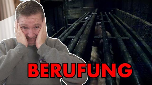 Berufungstermin im "Schlachthofprozess" über Aufnahmen der CO2-Betäubung von Schweinen