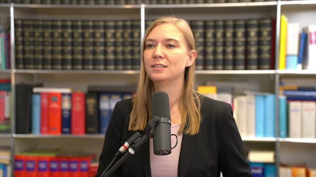 Gutachten: AfD-Verbot wäre erfolgreich