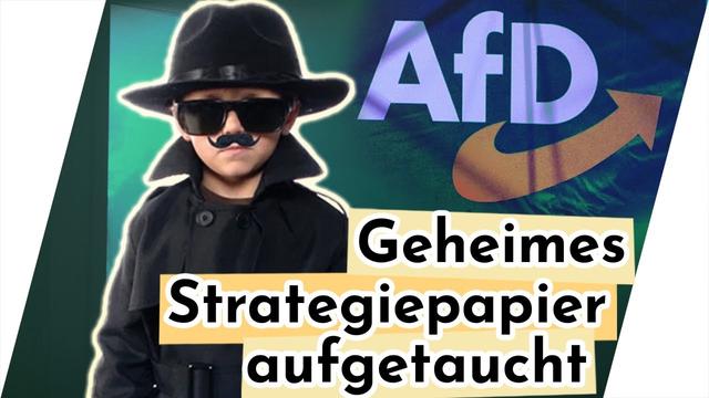 Geheimes Strategiepapier: So will die AfD Deutschland SPALTEN