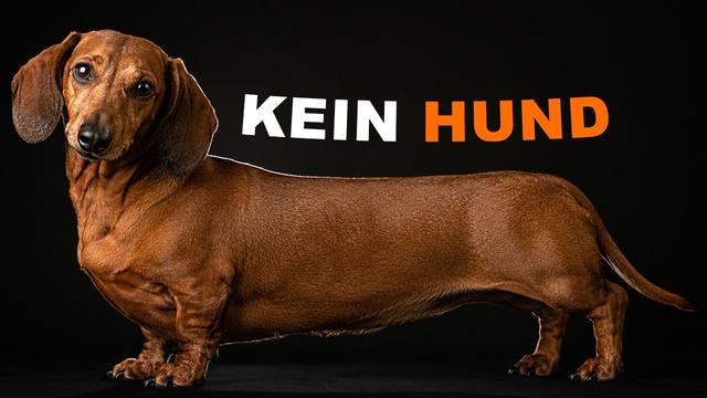 Wir haben Hunde versaut