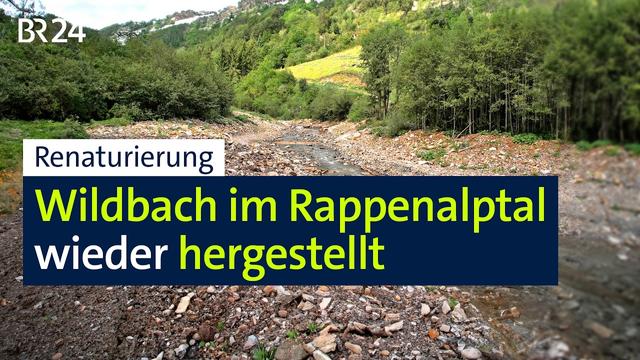 Renaturierung: Wildbach im Rappenalptal wieder hergestellt | BR24