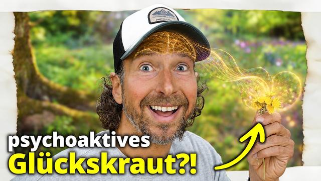 Besser als Cannabis? Diese Heilpflanze macht dich glücklich!