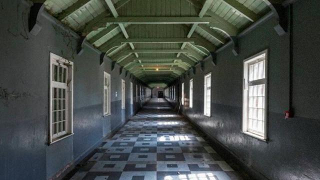 Madra Salach - Ribbon Factory