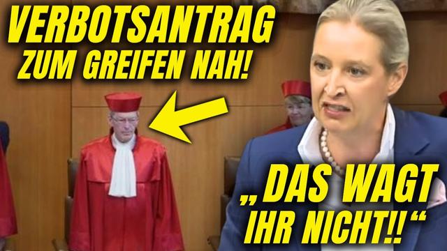 VOLKSABSTIMMUNG Im Herbst 2026! Das Darfst Du NICHT VERPASSEN! AfD Prüfverfahren!