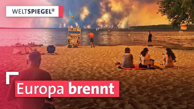 Waldbrände in Europa – Die Lage in Frankreich und Spanien | Weltspiegel extra