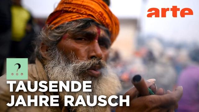 Der Mensch, von Natur aus süchtig? | Stimmt es, dass ...?  | ARTE