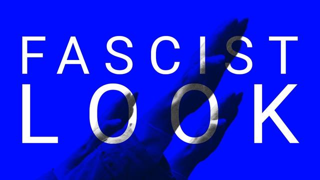 The New Aesthetics of Fascism