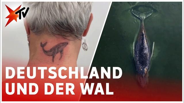 Wie ein Wal Deutschland bewegte - Die ganze Geschichte | stern TV