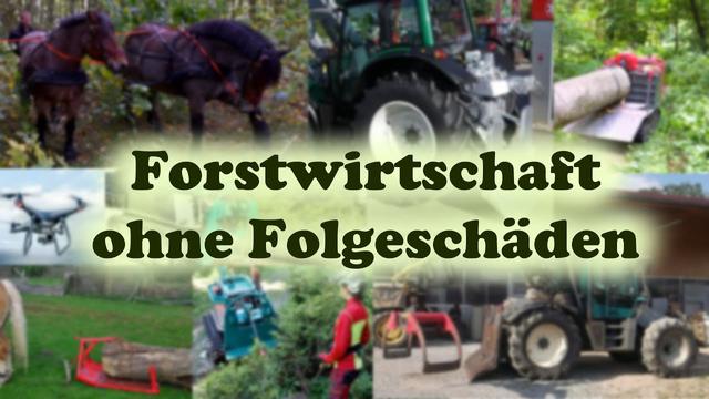 Sanfte Betriebstechnik für einen naturnahen Wald