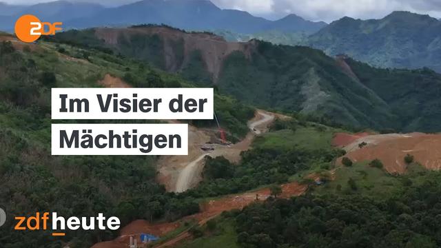 Regenwald in Gefahr: Aktivisten zwischen Morddrohungen und Gewalt | auslandsjournal