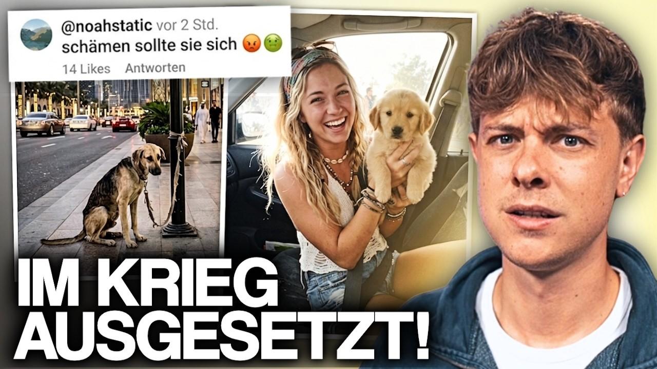 Wie Dubai Influencer ihre Haustiere im Krieg zurücklassen
