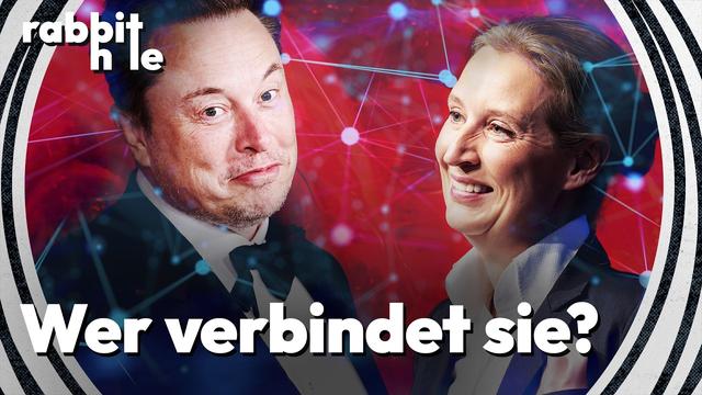 Die Strategie hinter der transatlantischen Vernetzung von AfD und MAGA | rabbit hole
