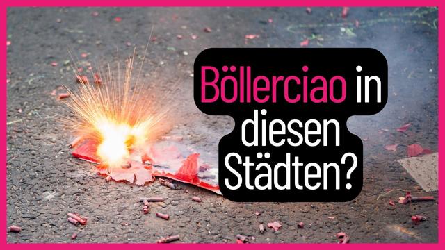 UNGLAUBLICH 😮 - Dieser Tierschutz ist in Kommunen möglich - Kommunalwahl Bayern 2026 Analyse