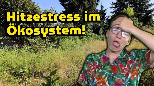 Hitzestress im Ökosystem! Wie die Natur leidet!