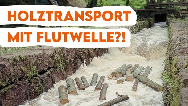 Förster stauen Bach auf für Holztransport - Historische Trift