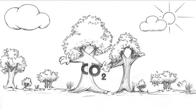 HOLZ - Baustein für den Klimaschutz