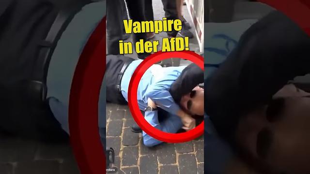 Mit Der AfD Stimmt Was Nicht!