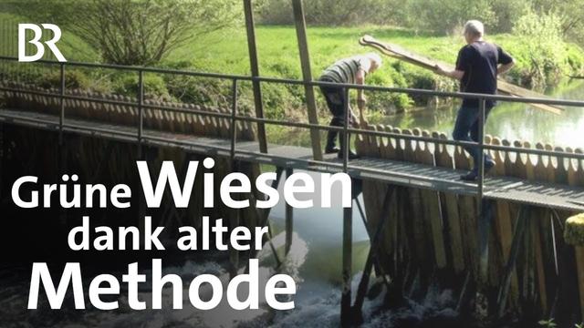 Fränkische Wässerwiesen gegen Trockenheit: Gras vor Dürre schützen | Unter unserem Himmel | BR