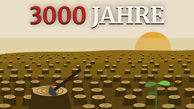 3000 Jahre Krieg gegen Waldgärten - und warum sie den Frieden brächten, den Herrscher nicht wollen