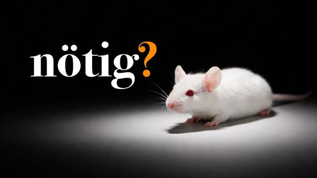 Tierversuche? Ständig missverstanden!