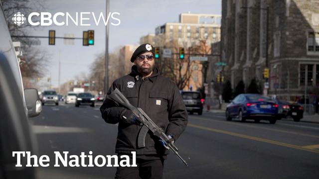 The Black Panthers vs. ICE in America