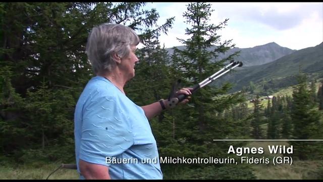 Hüeterbueb und Heitisträhl: 1. Waldweide