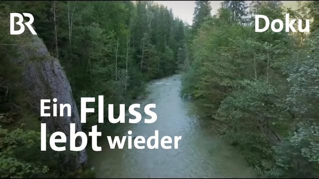 Die Wertach - Kreuzotter, Rinder, Salamander | Versteckte Paradiese | Bayern erleben | Doku | BR