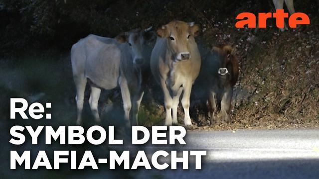 Die heiligen Kühe der Mafia | ARTE Re: