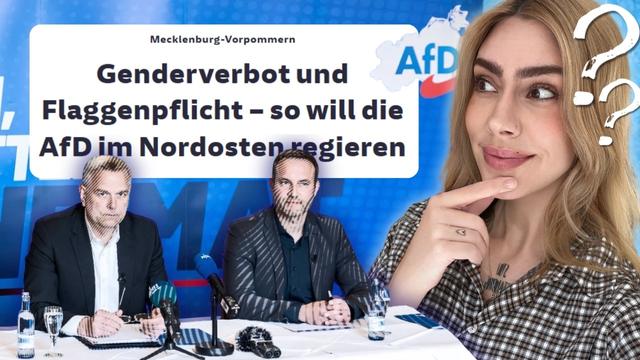 AfD an der MACHT? Das würde in 100 TAGEN passieren | VIDEO ESSAY