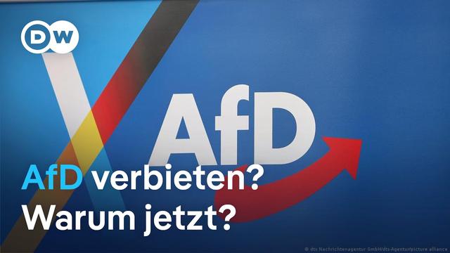 AfD-Verbot: Kann der Vorstoß von 1000 Juristen klappen?