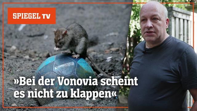 Tauben, Ratten, Risse: »Schlimmer Wohnen« bei Vonovia | SPIEGEL TV